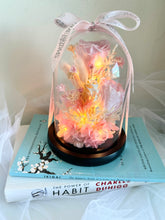 Load image into Gallery viewer, Patel Pink Fairy Bloom Infinity Floral Glass Dome

