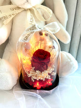 Load image into Gallery viewer, Red Fairy Bloom Infinity Floral Glass Dome
